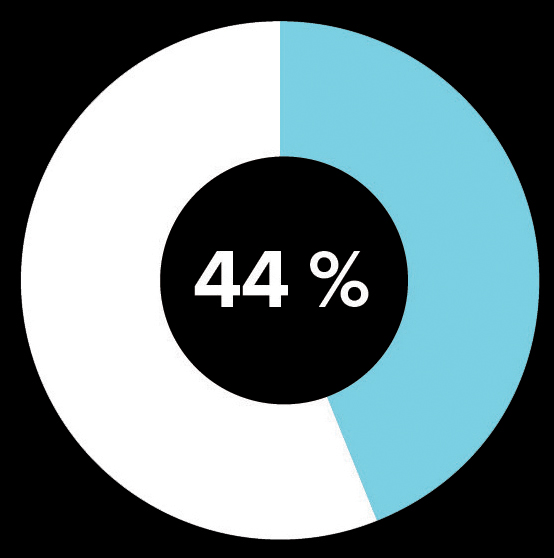 diagramme circulaire représente 44 %