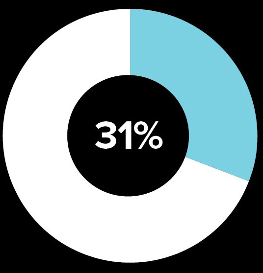 pie chart represents 31%